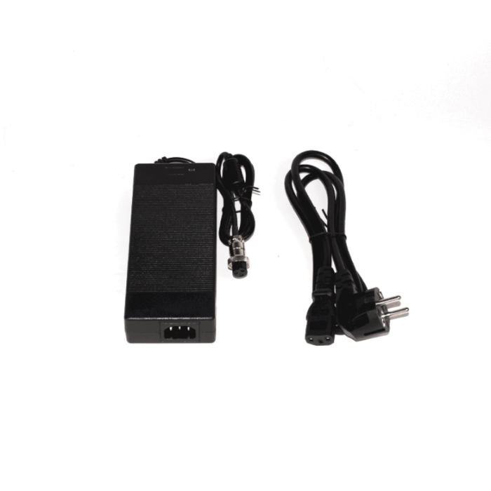 Chargeur 2Ah pour Z8 Pro - TrottiShop.fr 